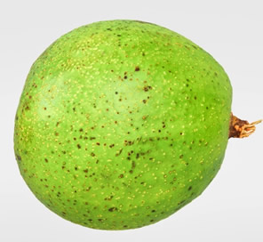 Aguacates