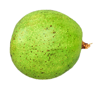 Aguacates